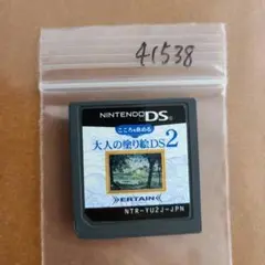 こころを休める大人の塗り絵DS 2