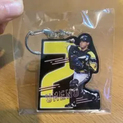 Item thumbnail for item 2e9feea9-9328-4b73-adae-478d26dc948f