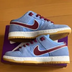 Nike SB Dunk Low Pro ライトブルー