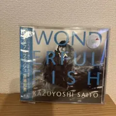 斉藤和義 WONDERFUL FISH CD