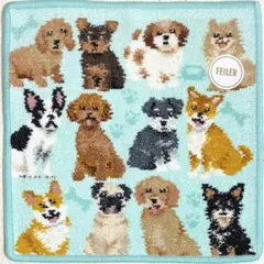 フェイラー　タオルハンカチ　マイキュートパピー