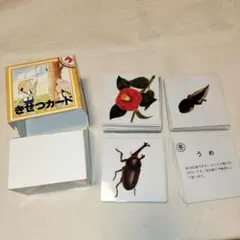 こぐま会 知育玩具