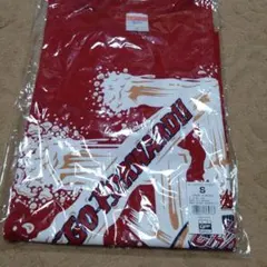 Item thumbnail for item 0554b4cf-348b-4e88-9a5b-f9f711966678