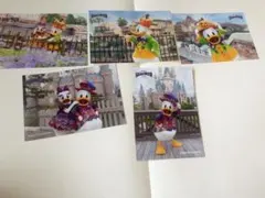 ⭐️ドナルド デイジー ディズニーランド ディズニーシー ハロウィン フォト⭐️