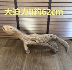 大迫力‼︎流木オブジェ 恐竜　とがげ