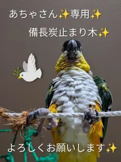 備長炭止まり木⭐️止まり木⭐️パーチ⭐️専用です♪(*゜∀゜*) 備長炭止まり木⭐️パーチ⭐️止まり木⭐️専用です(*゜∀゜*) - メルカリ