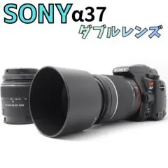 2026年最新】SONYα37の人気アイテム - メルカリ