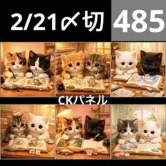 新柄♥️期間限定レアパネル生地　猫パネル生地　6柄セット　CKパネル