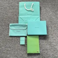 ※正規品※ Tiffany & Co. グリーンパスポート　ケース