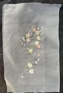 Item thumbnail for item 3561d5fa-ccf3-42a8-a370-c6fd4199f52b