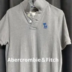 【値下げ】Abercrombie & Fitch グレー ポロシャツ