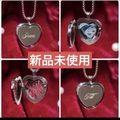 ALIENSTAGE ハート型ペンダント イヴァン・ティルセット【箱あり