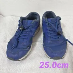 【MIZUNO】ミズノ ランニングシューズ ブルー 25.0cm マキシマイザー