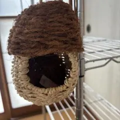 Item thumbnail for item 8dd8c6b3-926d-4705-91e1-72e690b12d7e