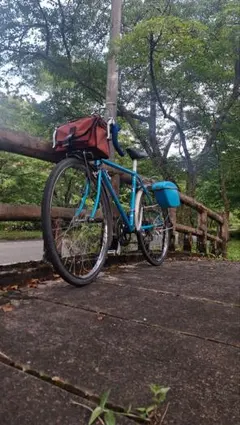 カスタム　RALEIGH カールトンDC 520 引き渡し希望 カスタム RALEIGH カールトンDC 520 引き渡し希望 - メルカリ