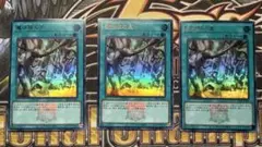 遊戯王　魔法族の里　ウルトラ　決闘者伝説