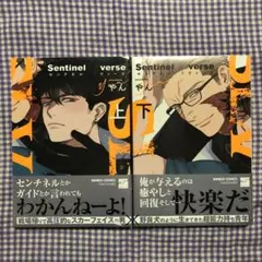 【新品①】Sentinel Loverse センチネル ラヴァーズ 上下／やん