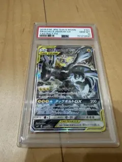 2026年最新】ピカチュウ&ゼクロム sa psa10の人気アイテム - メルカリ