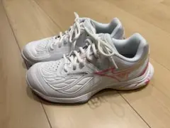 Mizuno ウェーブファング2ᖴIT バドミントンシューズ