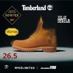 Item thumbnail for item a584354e-ed50-46cb-b3ea-a8ec7e588a23