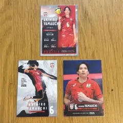 2026 山内晶大 バレーボール日本代表 トレーディングカード 3枚セット