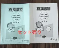 2025年最新】浜学園 夏期講習 小6 最難関の人気アイテム - メルカリ