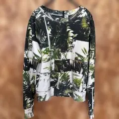 Item thumbnail for item 914741d2-fa84-4f5d-8d3f-f5607c0cea3e