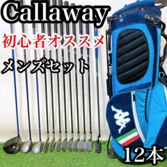 EM3 キャロウェイ 初心者オススメ ゴルフクラブ メンズセット 右利き12