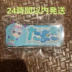 アイドリッシュセブン おなまえアクリルバッジ～アイナナパレード～　環