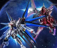 メタルビルド デスティニーガンダム　フルパッケージ　2024 新品未開封 輸送箱未開封 メタルビルド デスティニーガンダム フルパッケージ2024