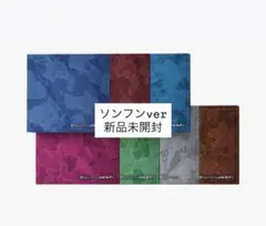 ENHYPEN THE SIN:VANISH FUGITIVES ソンフン