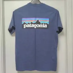 patagonia パタゴニア ネイビー Tシャツ XS