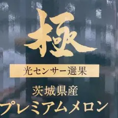 140糖度18度以上！茨城県旭村産プレミアムメロン極アンデス3Lサイズ1箱 