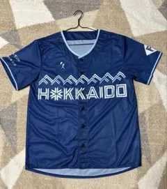北海道日本ハムファイターズ - 【激レア】日本ハムファイターズ 田中幸雄 レプリカユニフォーム 北海道日本ハムファイターズ レプリカユニフォーム 旧モデル 6