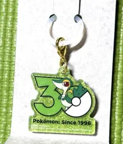 ポケチャーム2 ロゴマスコット　ツタージャ