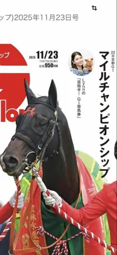 ギャロップ11月23日号　マイルCS特集号