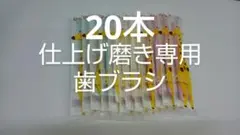 20本歯科医院専用 仕上げ磨き専用歯ブラシ Ci602