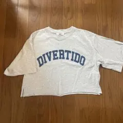 WEGO DIVERTIDO クロップドTシャツ Fサイズ グレー