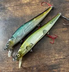 MAYIN 龍魚大賞専用三基色発色灯 3000K - メルカリ
