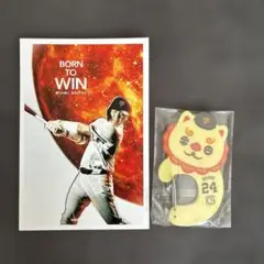 セブンイレブン　エニマイくじ　ジャイアンツ　カナビラ