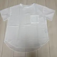 新品　ディニテコリエ　Tシャツ　カットソー　ブラウス　cyan tokyoのサムネイル