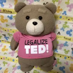 TED テッド ぬいぐるみ ピンク ③
