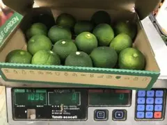 ハウスへべす 1kg（さがわクール便配送） - メルカリ
