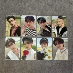 Stray Kids スキズ MAXIDENT トレカ 8枚セット