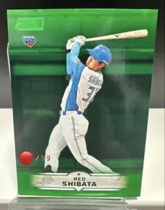 【柴田獅子】99枚限定　topps studium club2025