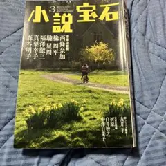 小説宝石 3月号 & A MAN, A LIFE.