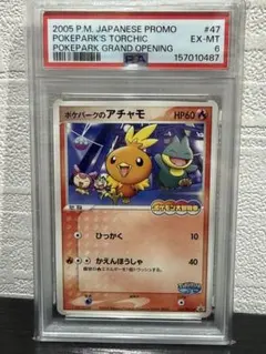 psa9 ポケパークのアチャモ PROMO PCG-Pプロモカード - メルカリ