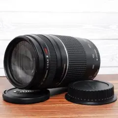 望遠レンズ canon