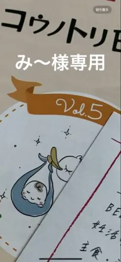 専用ページ