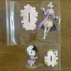 Dr.STONE アクリルスタンド 桜 あさぎりゲン